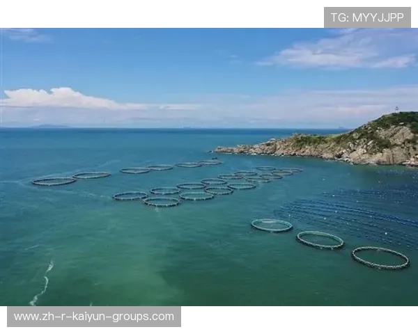 存储赛道再添变数，参股公司浮出水面，存储科技